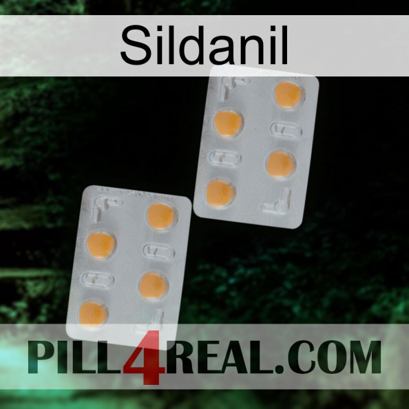 Sildanil 25.jpg